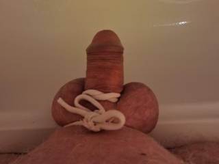 Summer  fun
