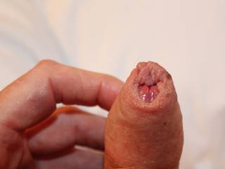 Holding up a flaccid dick