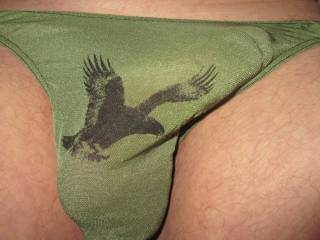 My Cock and Balls in Panties