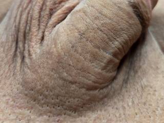 Smooth flaccid cock.