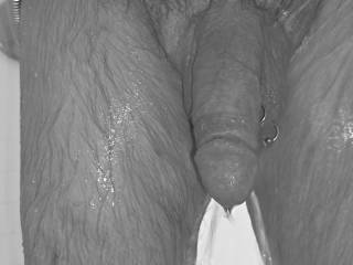 Wet COCK