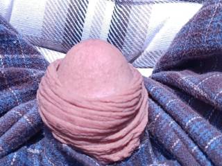 Sitting outside enjoying the sun when cock poped out to see the sun