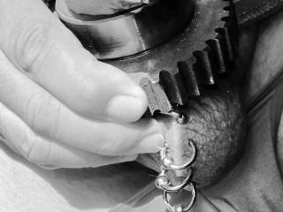 Gear and Cock