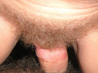 Please don't shave!  Feeling those pussy hairs against a cock only adds to the pleasure!