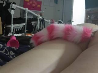 looking for a girl to join us