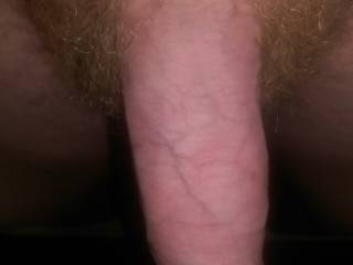 What do you think?