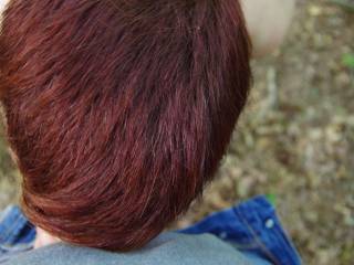 meeting with the wolf in the woods