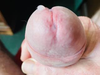 Precum slut