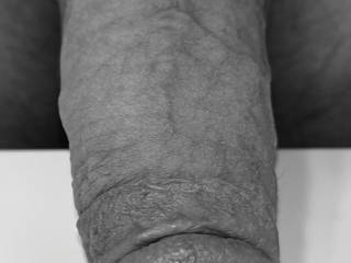 my favorite toy to play with