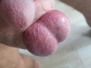 My balls are so full of cum and need emptying regularly.