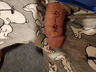 Showing my zcock