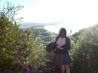 Bush walk on a superb winters day .What do you think of the view ?