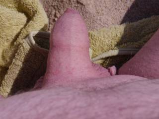 My cock on a nudist beach in Spain taken by me