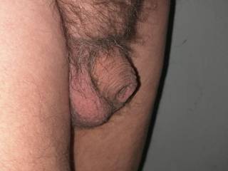 Hairy old small cock.