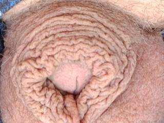 Old cock hanging out this morning 39 degrees in need of some hot lips