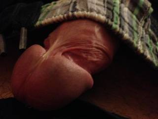 want to help me get him out?