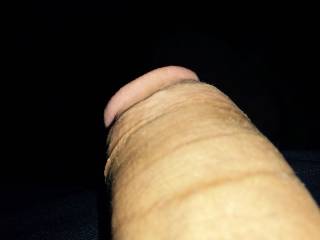 dick a floppin