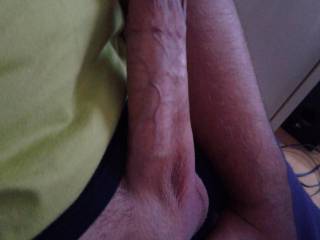 My bf cock... What do you think girls?