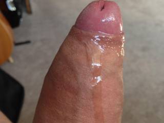 was so horny that my cock started dripping