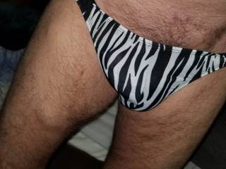 zebra thong