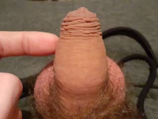Small uncut cock. I think it\'s cute