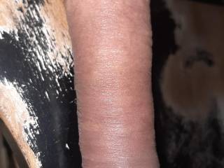 My cock