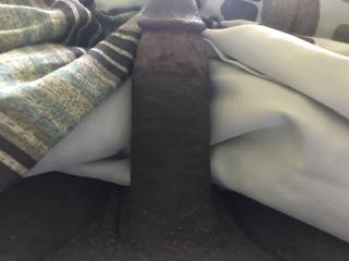 Sent this to my playmate and asked her if this is something that would interest her. Would it interest you?