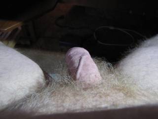 My Cock