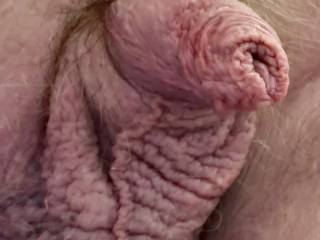 He loves being touched and kissed and jacked and fucked and sucked