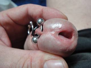 Closeup of my cut pierced dick. Please comment if you\'d like to see some more.
