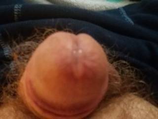 Precum oozing getting ready to drip. Love to watch the drop get bigger and bigger how about you?