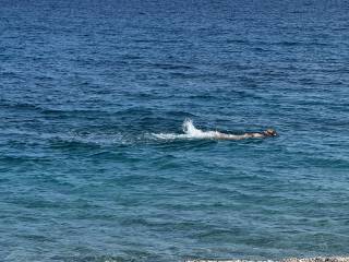 Wife swimming naked.
Gets me hard watching