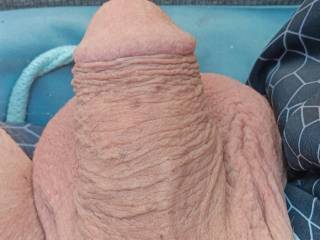 Clean. Shaved cock looks as he is in need ??