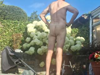 Ass
