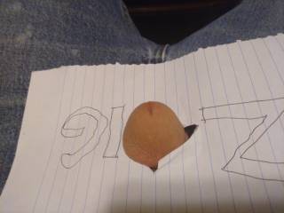 This the way i spell