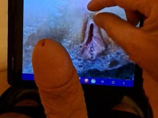 cum tribute to alania2
