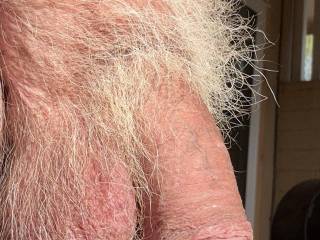 i like the feel of pubic hair .  shows I am a big boy