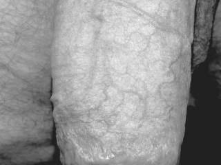 my COCK on Display For your Viewing Pleasure