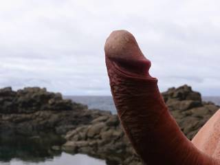 cock