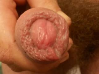 A little something for the foreskin Lover\'s...how\'s mine  ??