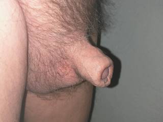 My short foreskin stubby tail.