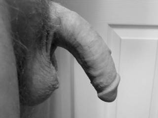 Half cocked
