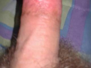 Home and horny