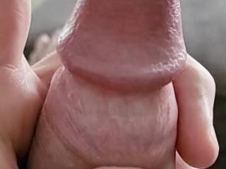 Starting to leak precum