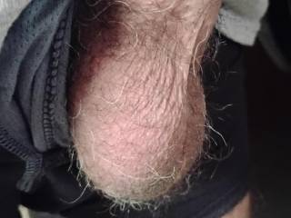 Want to suck on my balls ladies