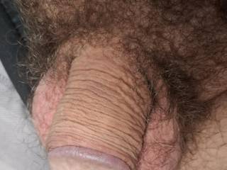 Flaccid cock