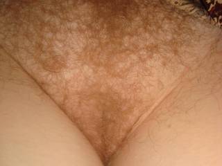 a little closer look at my pussy ... would you like to play with me......