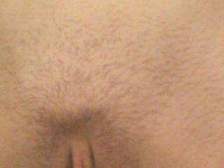 Pussy