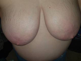 Some big ole titties for you to feast on
