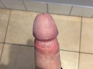Just a casual cock